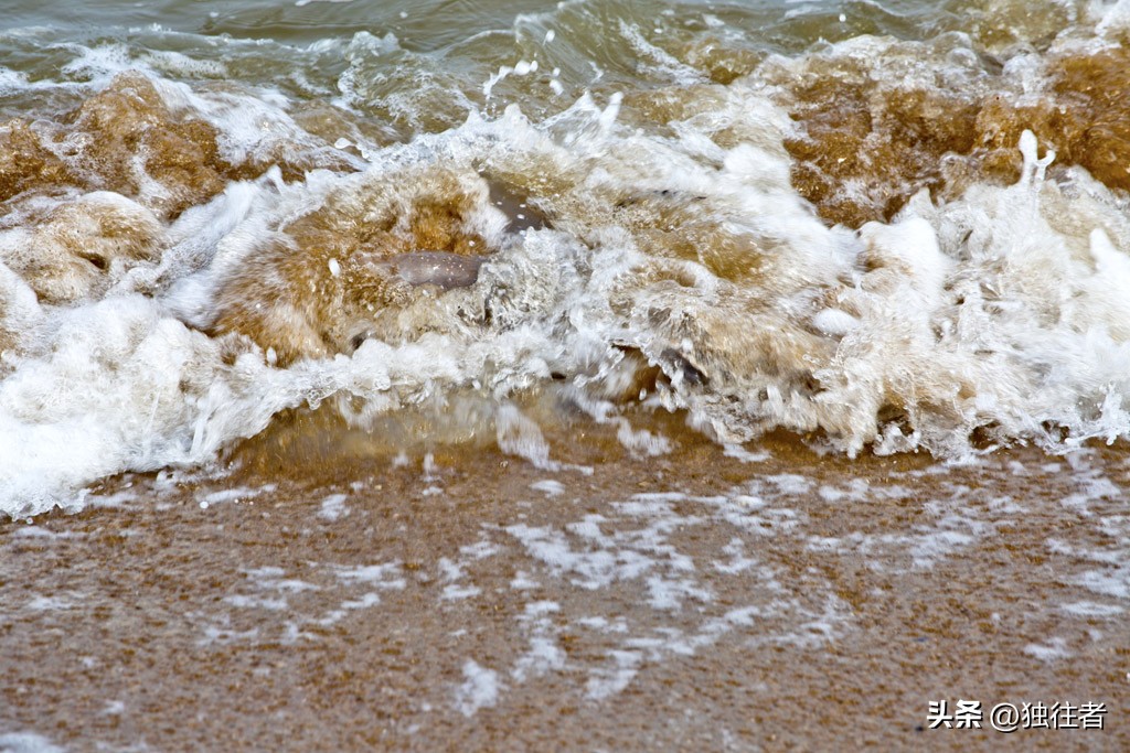 辽宁兴城海边推荐,兴城海边赶海旅游攻略