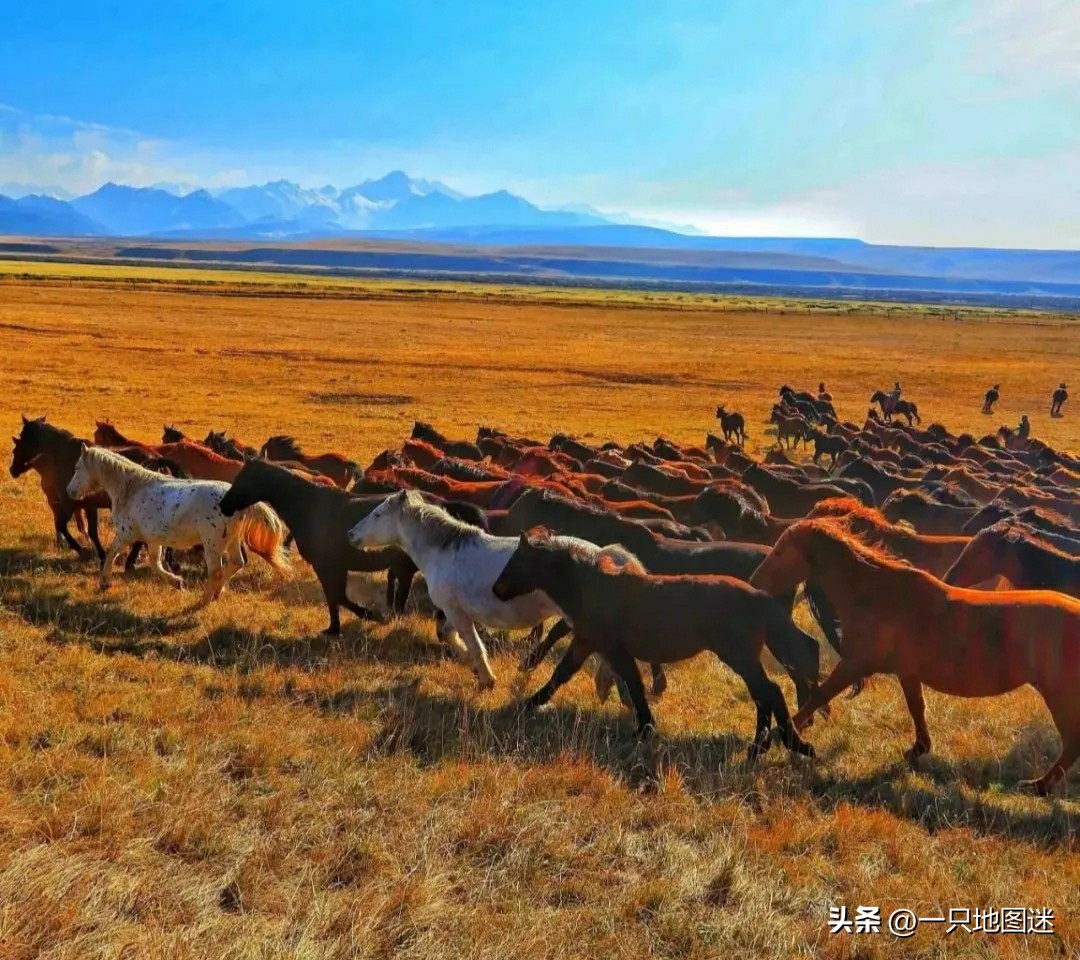 甘肃玉如意图,甘肃地形像玉如意