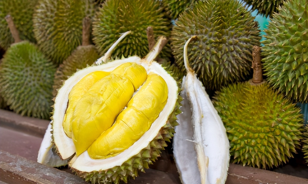 菲律宾榴莲出口中国有何效益,菲律宾普雅榴莲对华出口