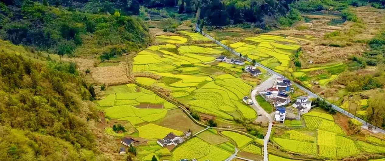 自驾去黄山路线攻略,夏季黄山自驾5条绝美路线攻略