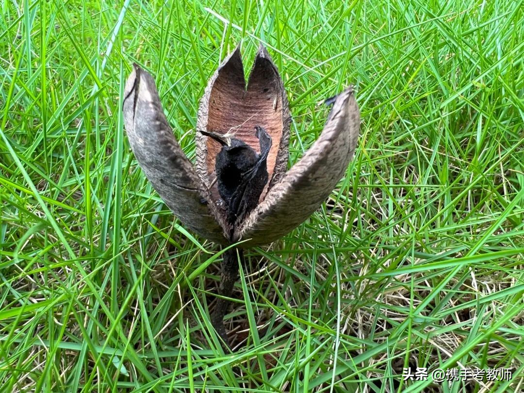 教师资格综合素质艺术常识大汇集,教师资格考试综合素质艺术常识