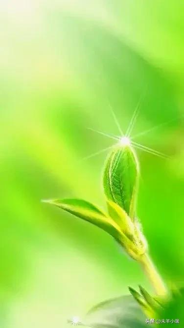 超清超美独一无二手机壁纸图片,养眼养心的壁纸