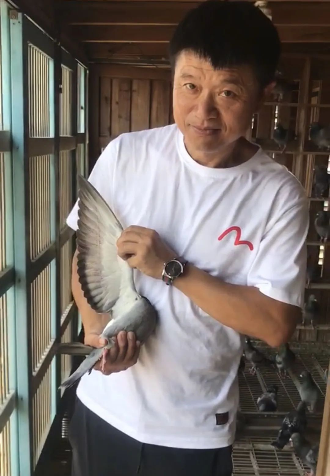 陋棚一样可以飞出“飞龙荣耀杯”13760羽总冠军，王志杭夺得亚军