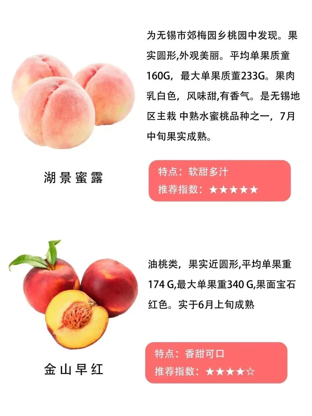 遵义桃子的品种和特点,常见的桃的品种区别有哪些