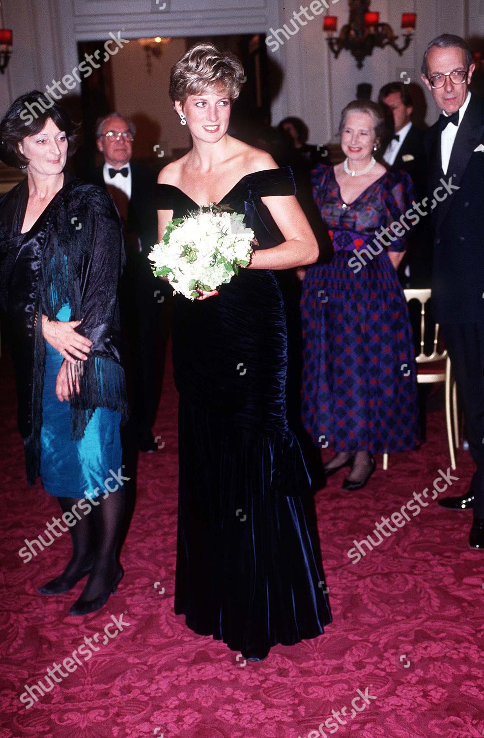 戴安娜王妃的蓝丝绒礼服,戴安娜王妃惊世容颜