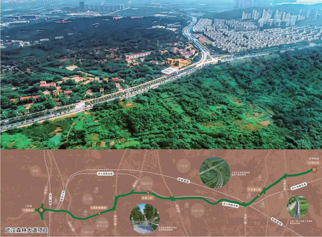 中信杨书平,中信环境董事长杨书平