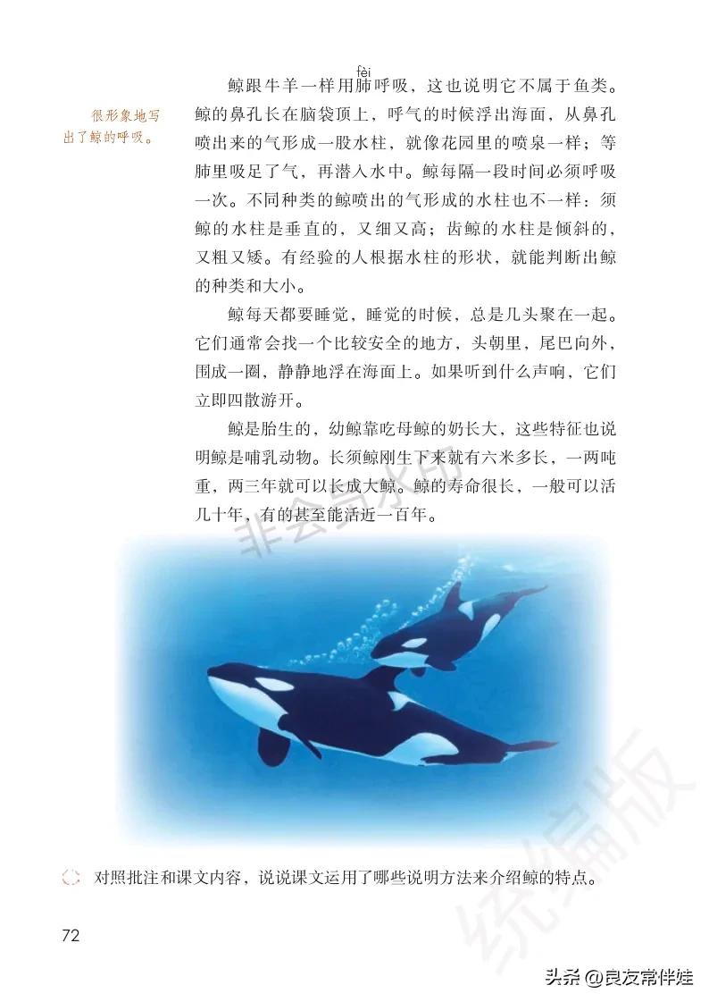 五年级上册语文电子课本,五年级上册语文教材分析