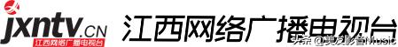 头条看电视剧免费,头条上看电视剧怎么看