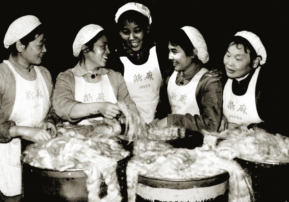 浙江黄麻纺织厂,浙江杭州航母