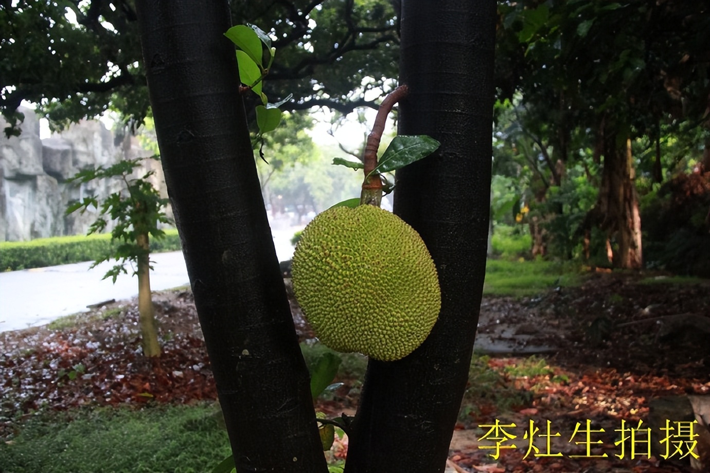 杨四将军庙简介,杨四将军庙在哪个位置