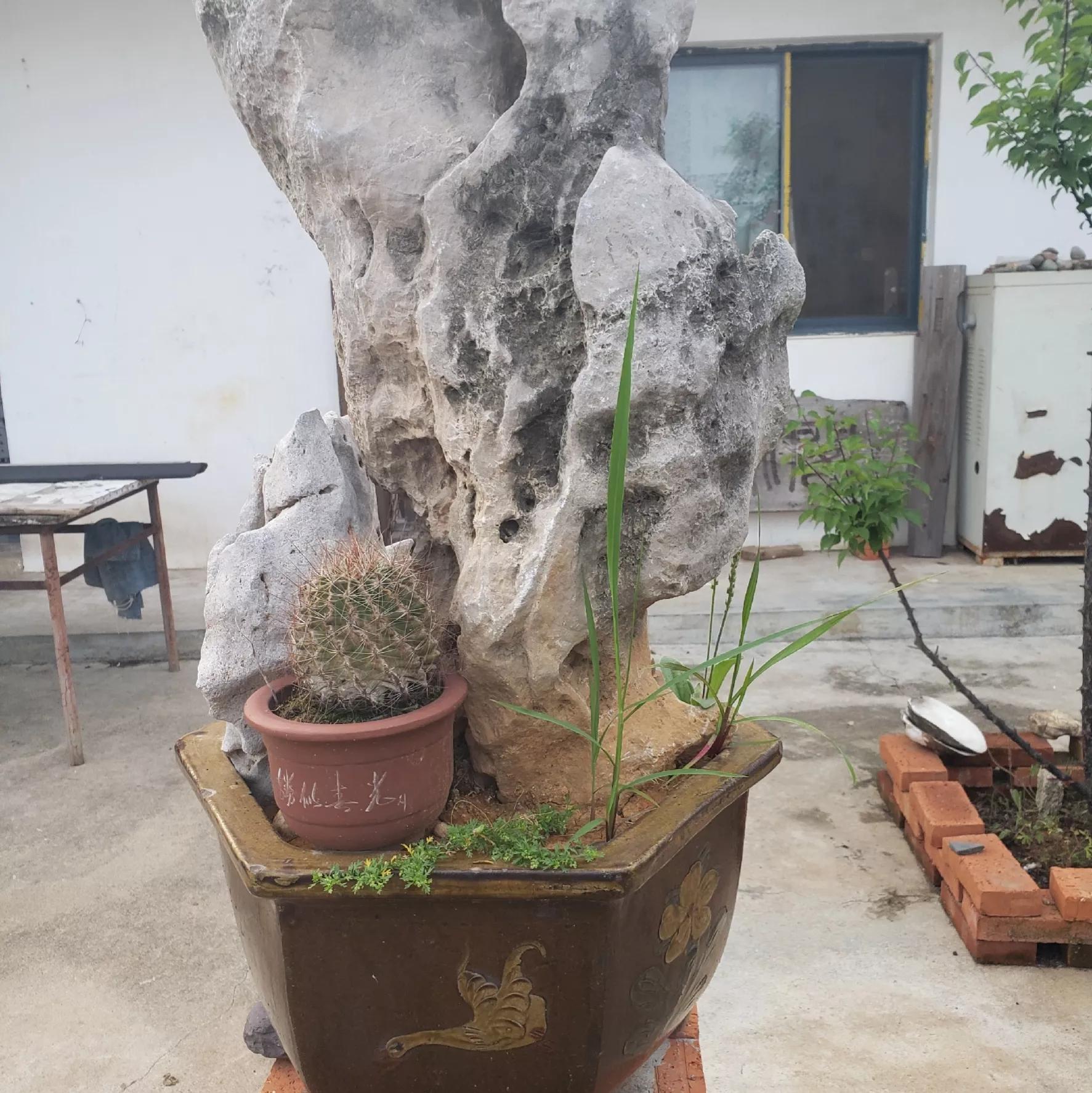 他不仅仅是古琴大师,他还是画家、篆刻家、书法家,二