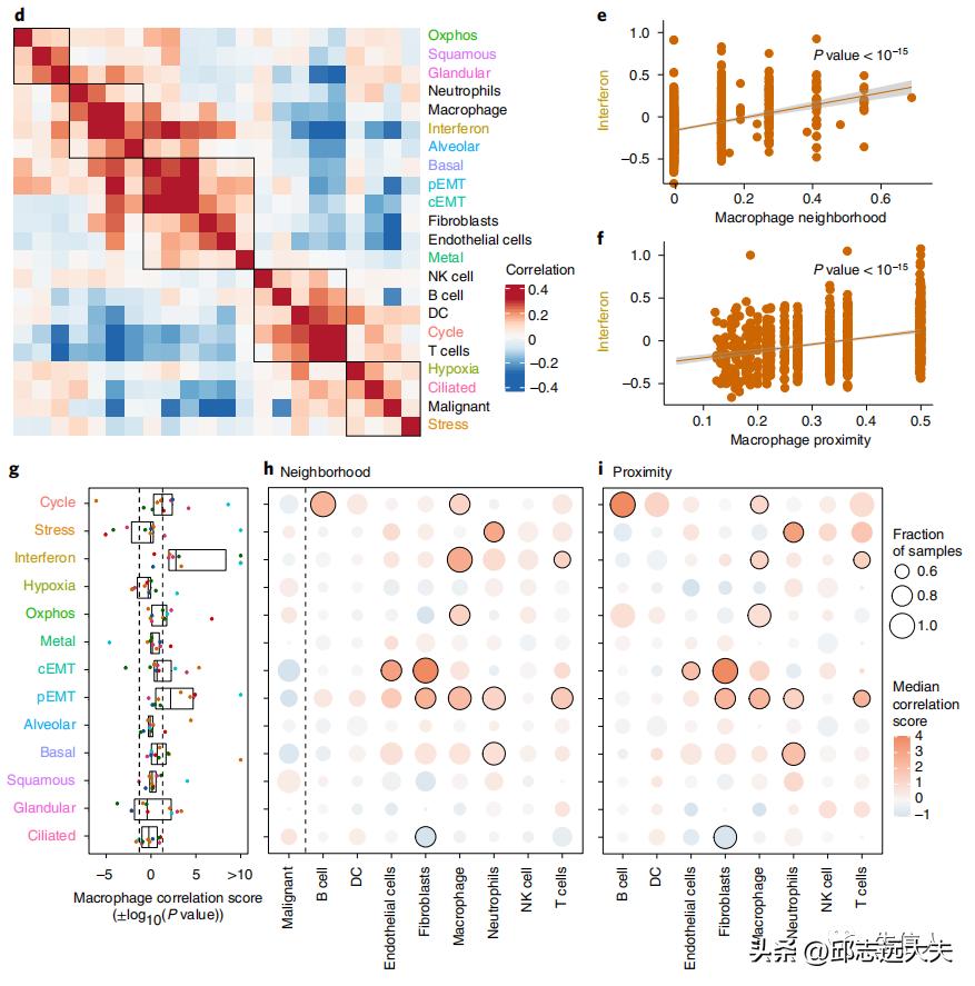 泛癌分析是怎么找到特定的基因的,癌细胞分析最新研究