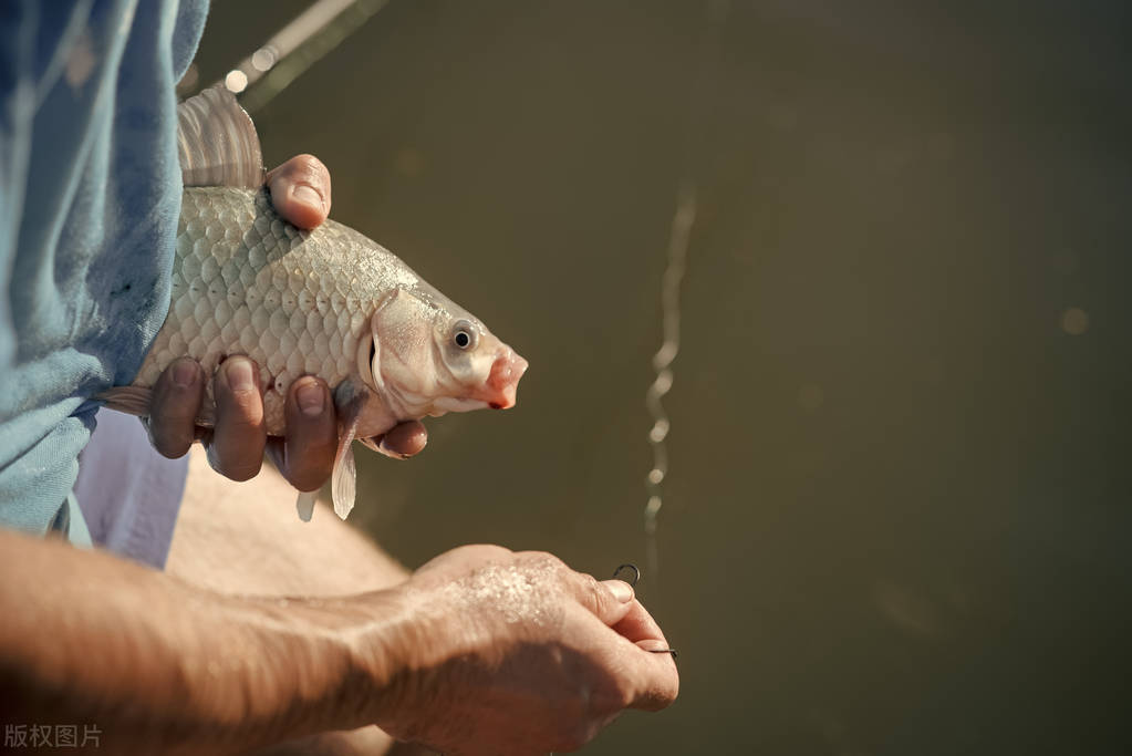 职业联赛十大成名瞬间,职业联赛三大射手
