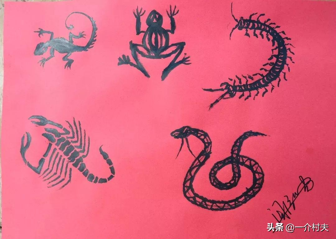 端午挂艾草什么时间挂最好,小叶艾草和大叶艾草哪个适用端午