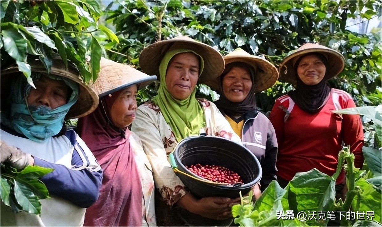 印度尼西亚殖民地时期的历史,19世纪印度尼西亚被哪个国家殖民