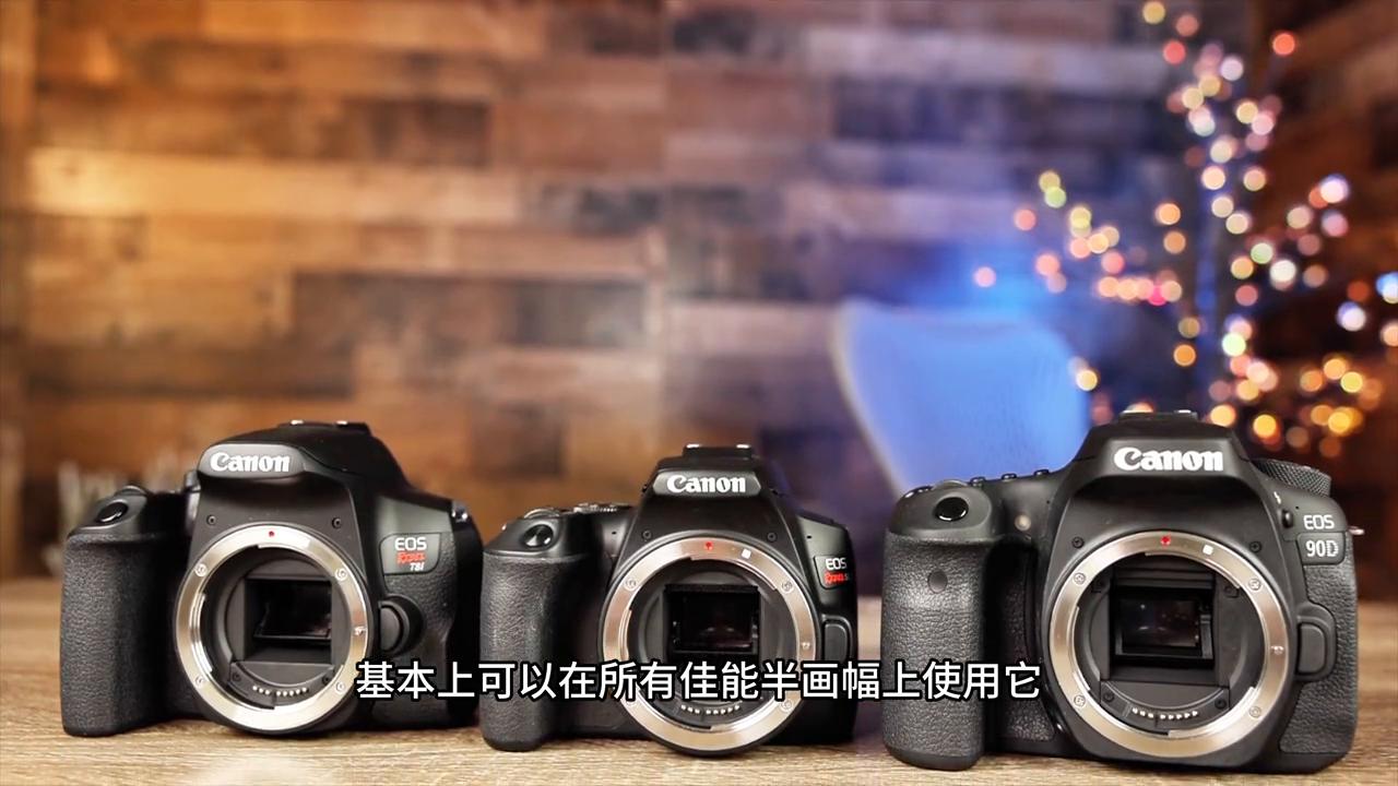 镜头评测佳能20-35f2.8,佳能55-250stm镜头测评