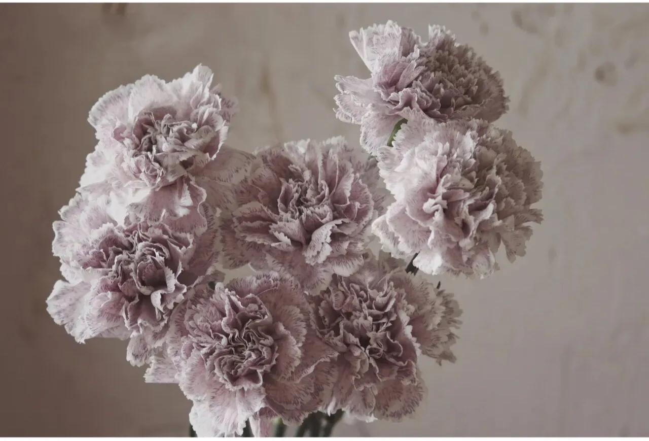 母亲节暖心文案给老婆,母亲节暖心文案