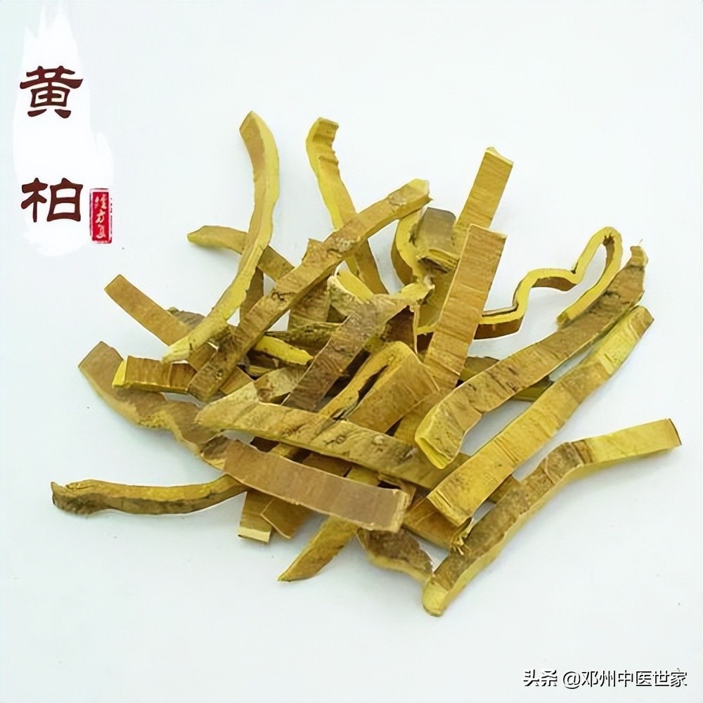 温白汤使用经验,白头功效