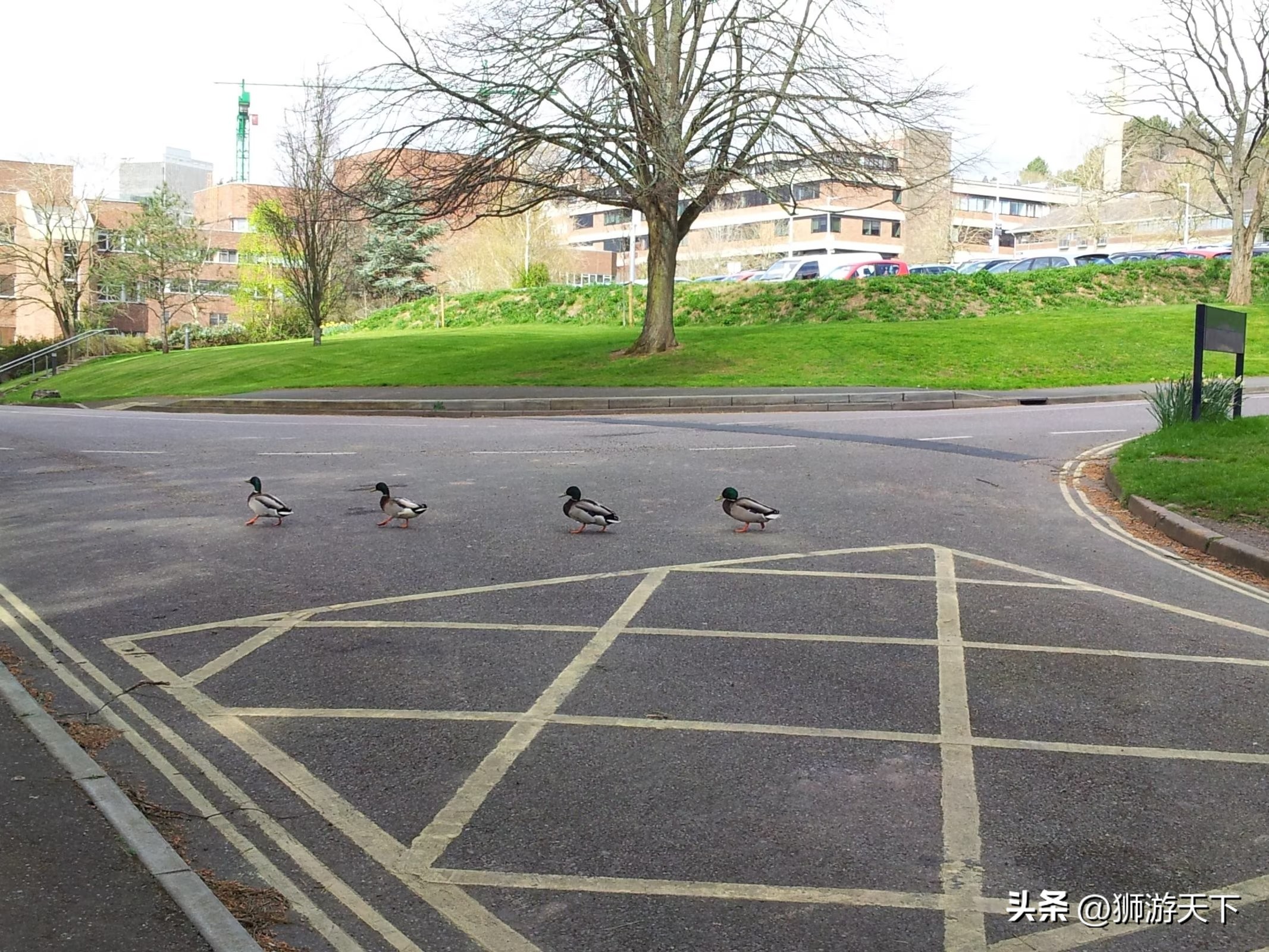 英国本科陪读,英国陪读住宿