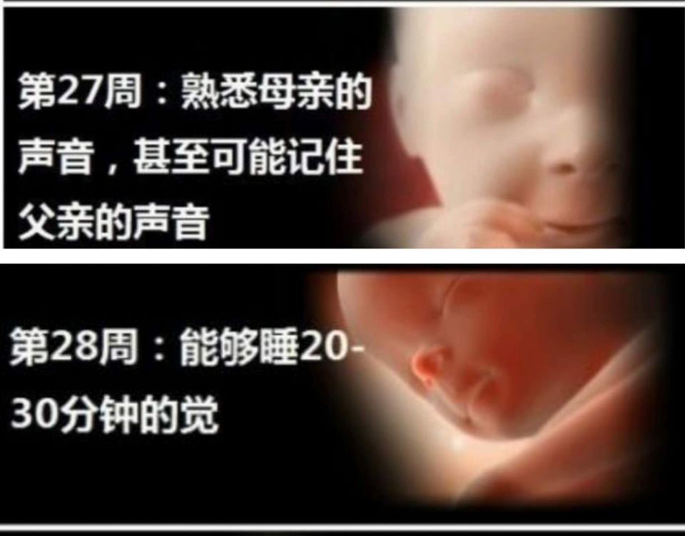 怀孕28周是几个月，胎儿有哪些技能？做好5点轻松度过孕晚期