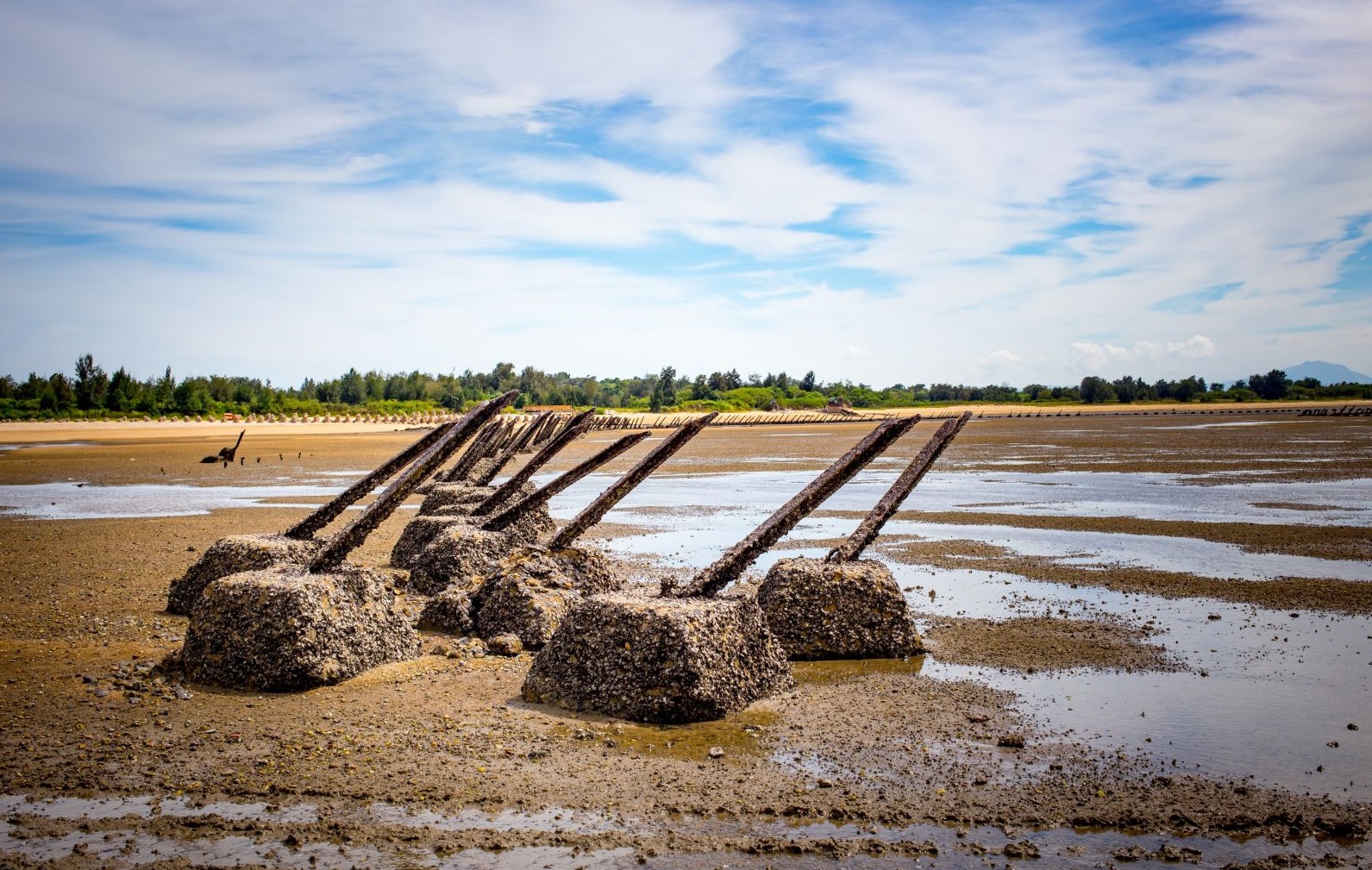 金门变相谋独还是向往统一？蔡英文摊上大事