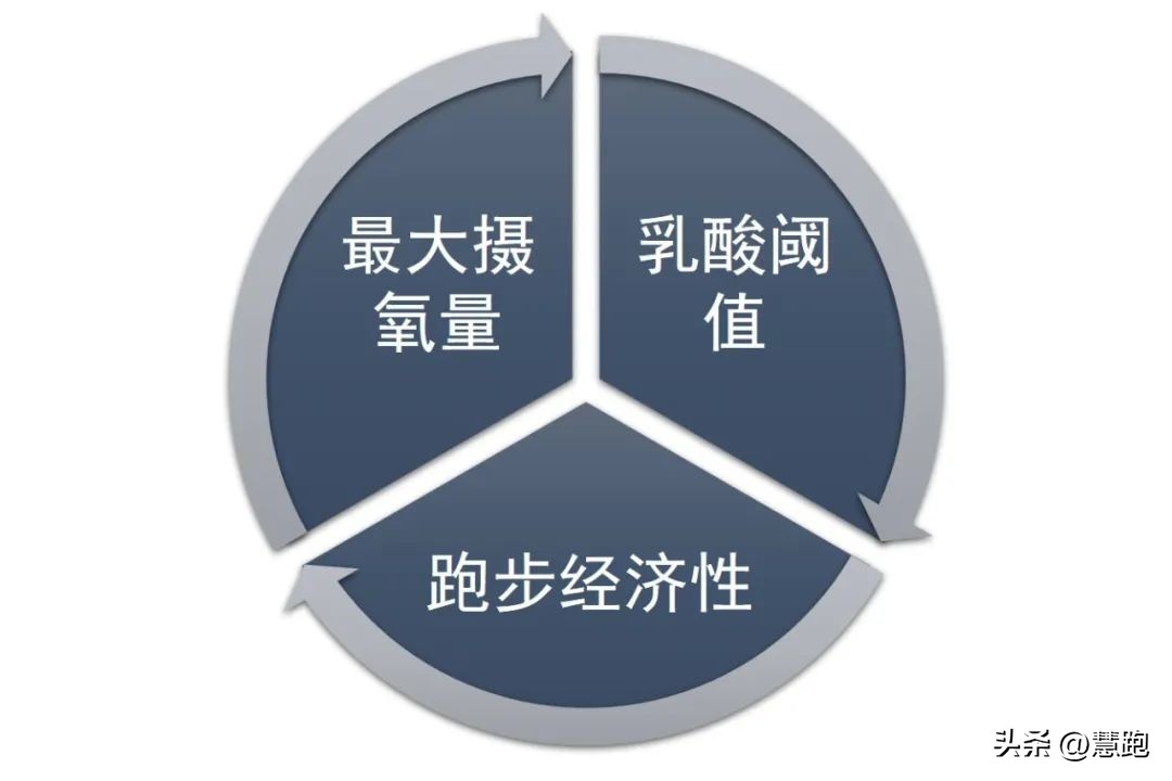从训练到日常生活：完整解读跑者应该如何看懂跑表数据