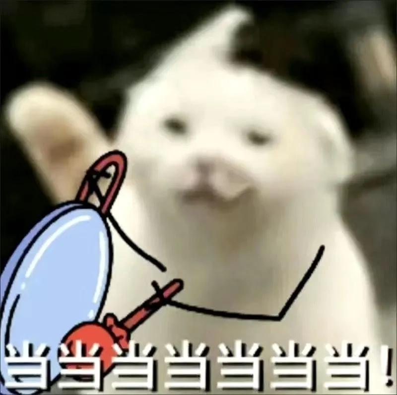 搞笑沙雕搞笑小视频,沙雕搞笑放二踢脚的搞笑视频