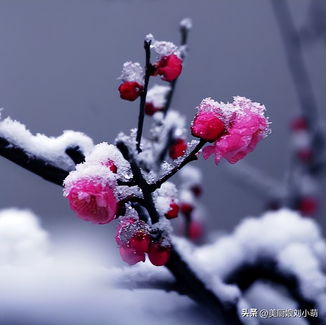 下周冬至，建议中老年人：家中常备这4样，精神饱满平安过节