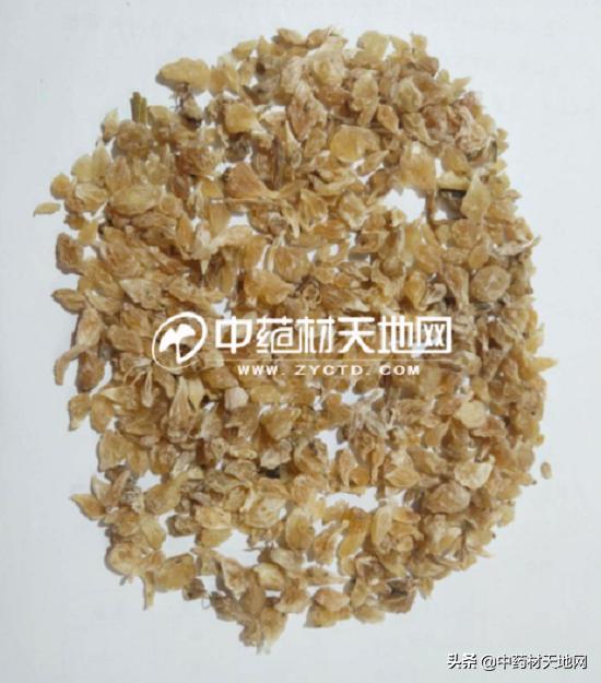 安国药市场分析,安国药行情分析