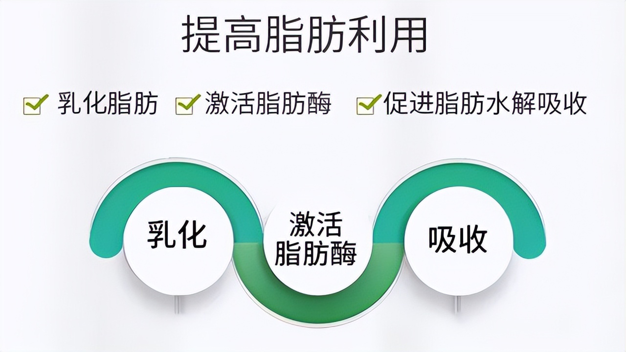 胆囊炎和胆囊结石人很瘦怎么增肥,瘦人得胆囊炎和胰腺炎