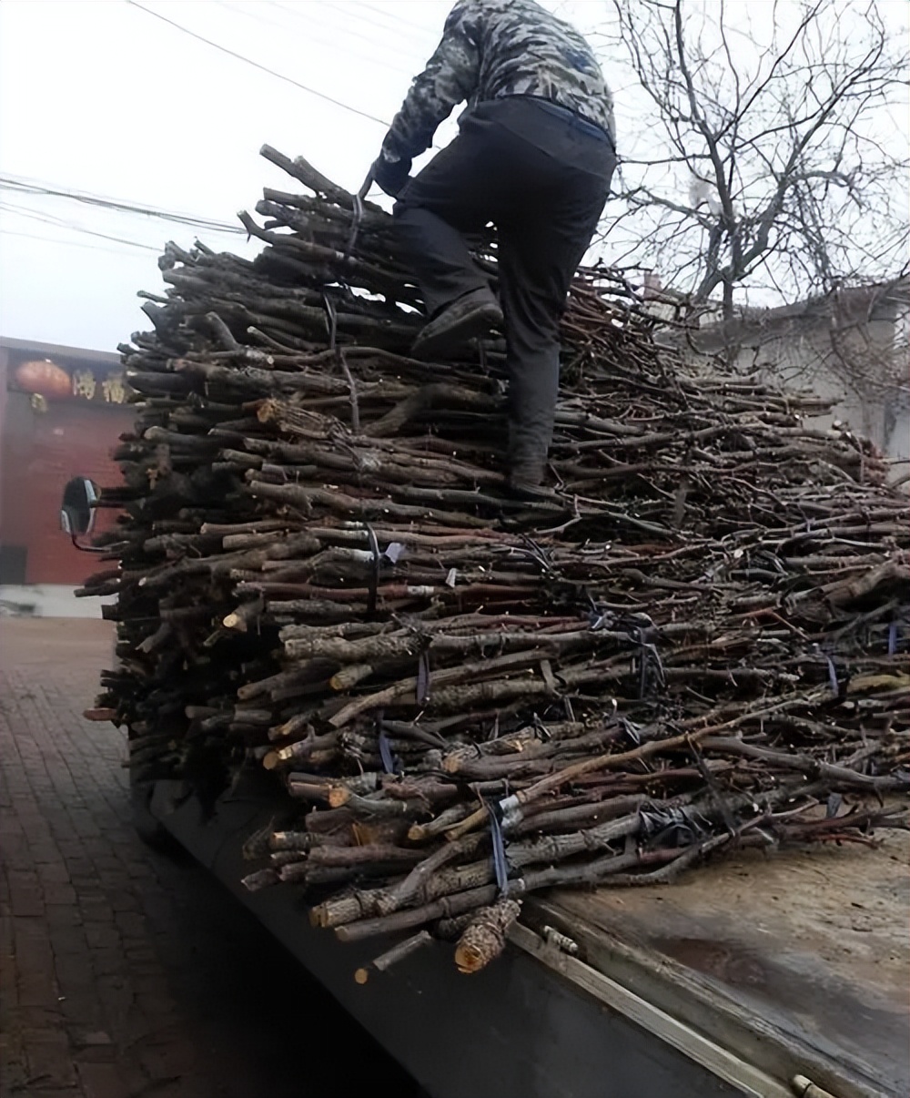 1969年,河南女子结识8岁*疆新**男孩,男孩苦寻43年:你在哪里呀?