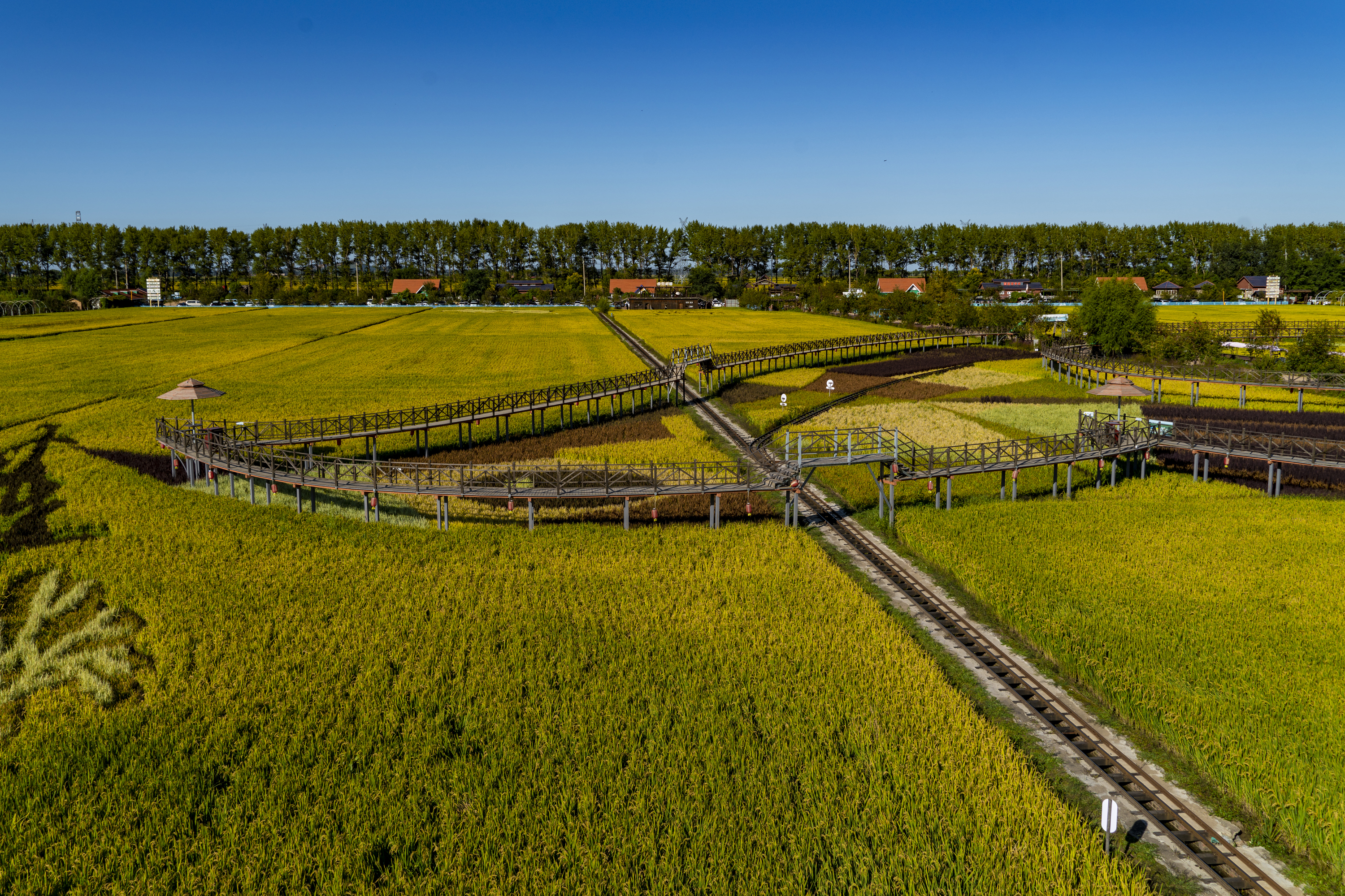 沈阳市稻梦空间,沈阳稻梦空间附近农家院