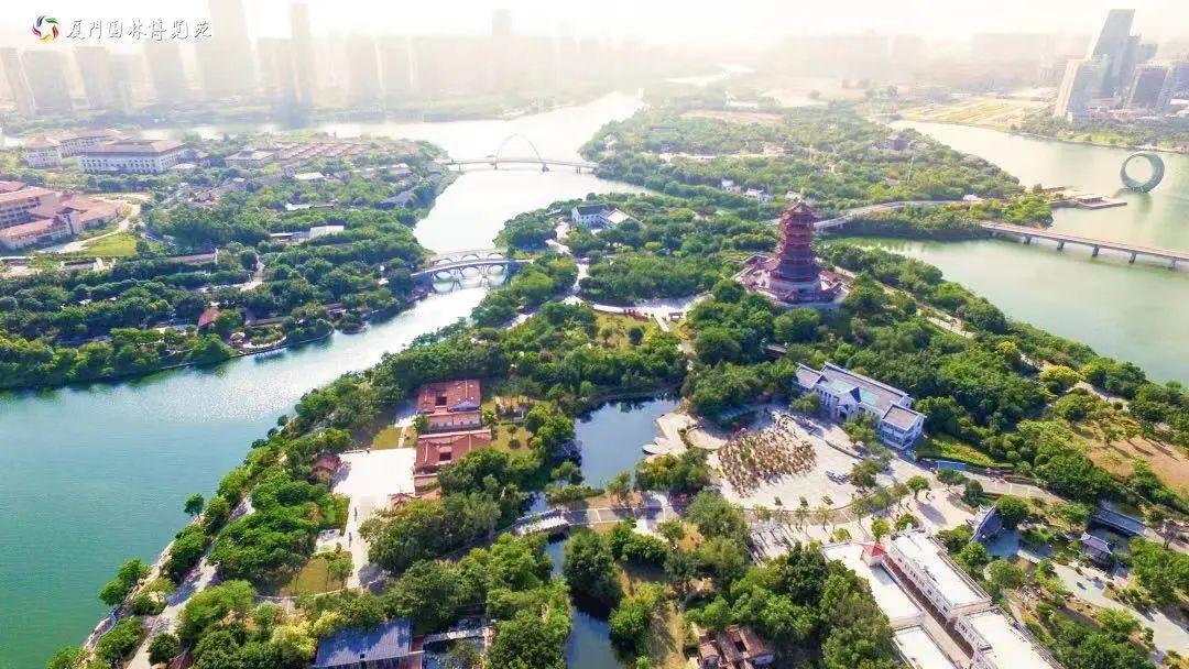 香港新晋的明星,现身厦门的香港明星