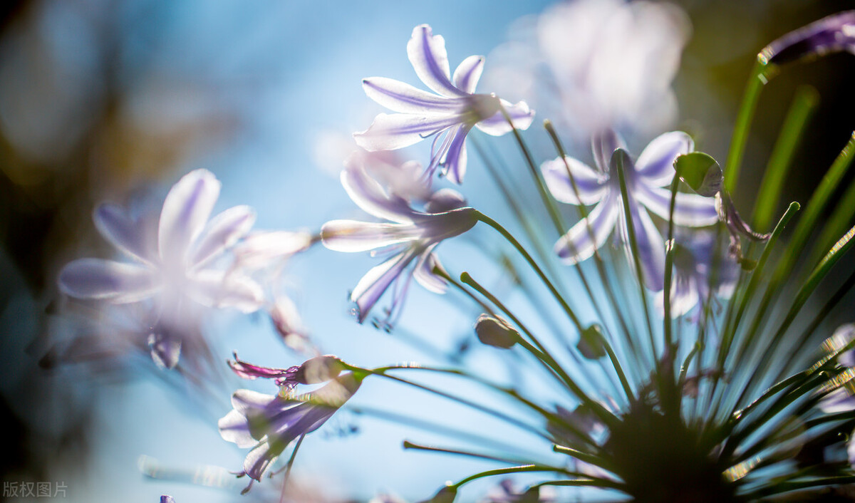 人生为什么会觉得无趣,当你觉得人生无趣