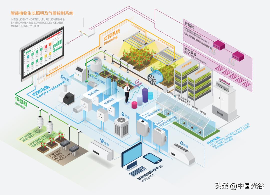 光谷企业研发“植物工厂”,用LED灯当“太阳”,可实现“外星种菜”,去年收入过亿
