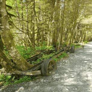 变态纳粹,纳粹德国屠杀犹太女人