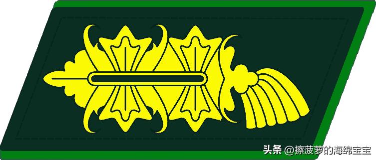 二战德国国防军医疗兵军衔标志