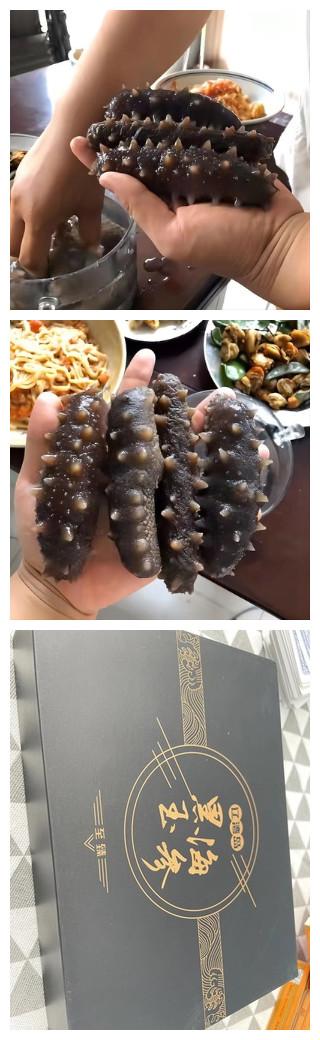 北极海参和辽参哪种价格高,辽参鲜海参500克价格表