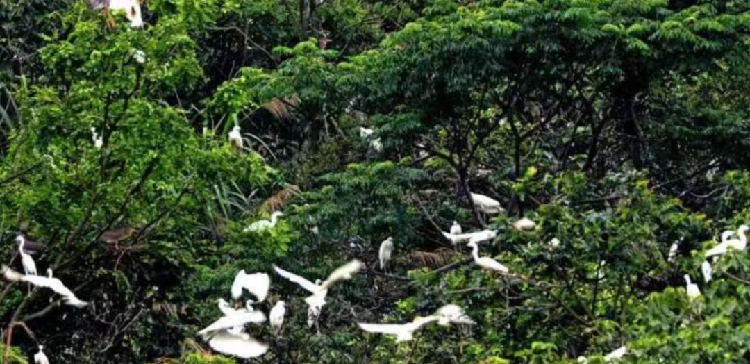 辟谣花30万梅西会来敬酒,花30万可让梅西敬酒是假的