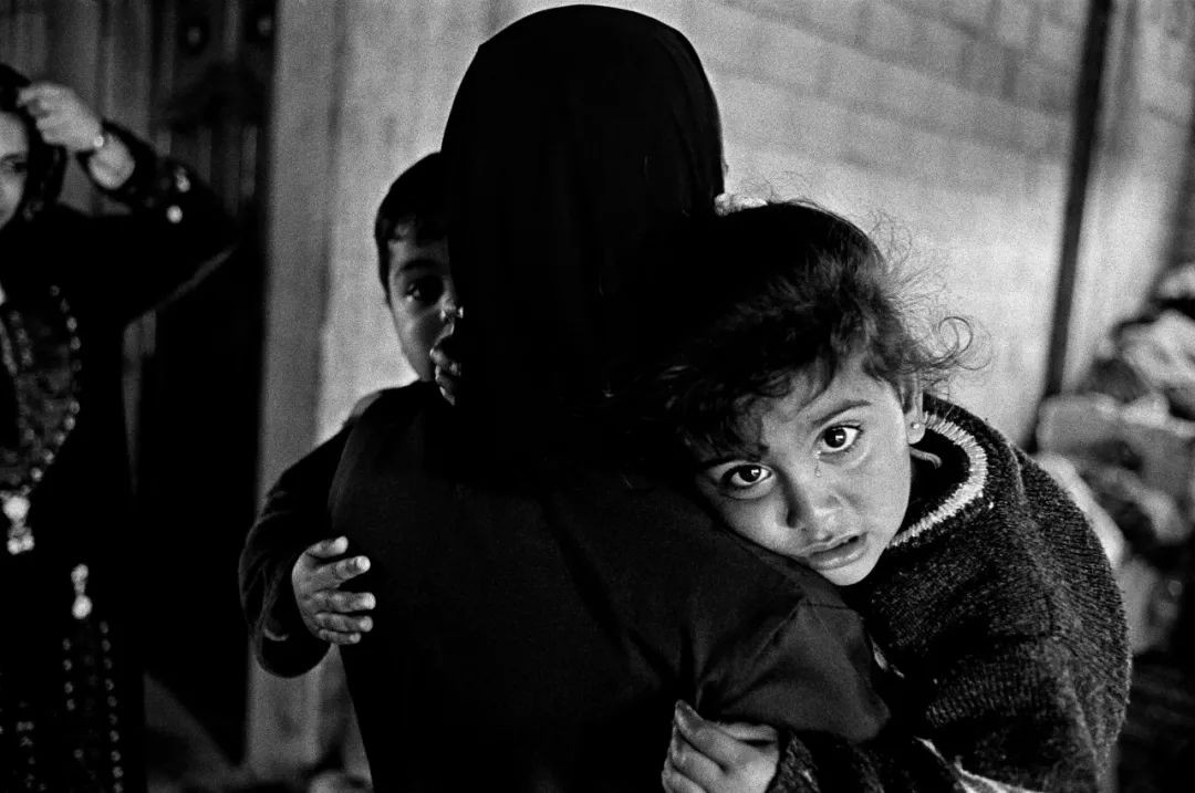 高磊绽放青春,高磊临朐