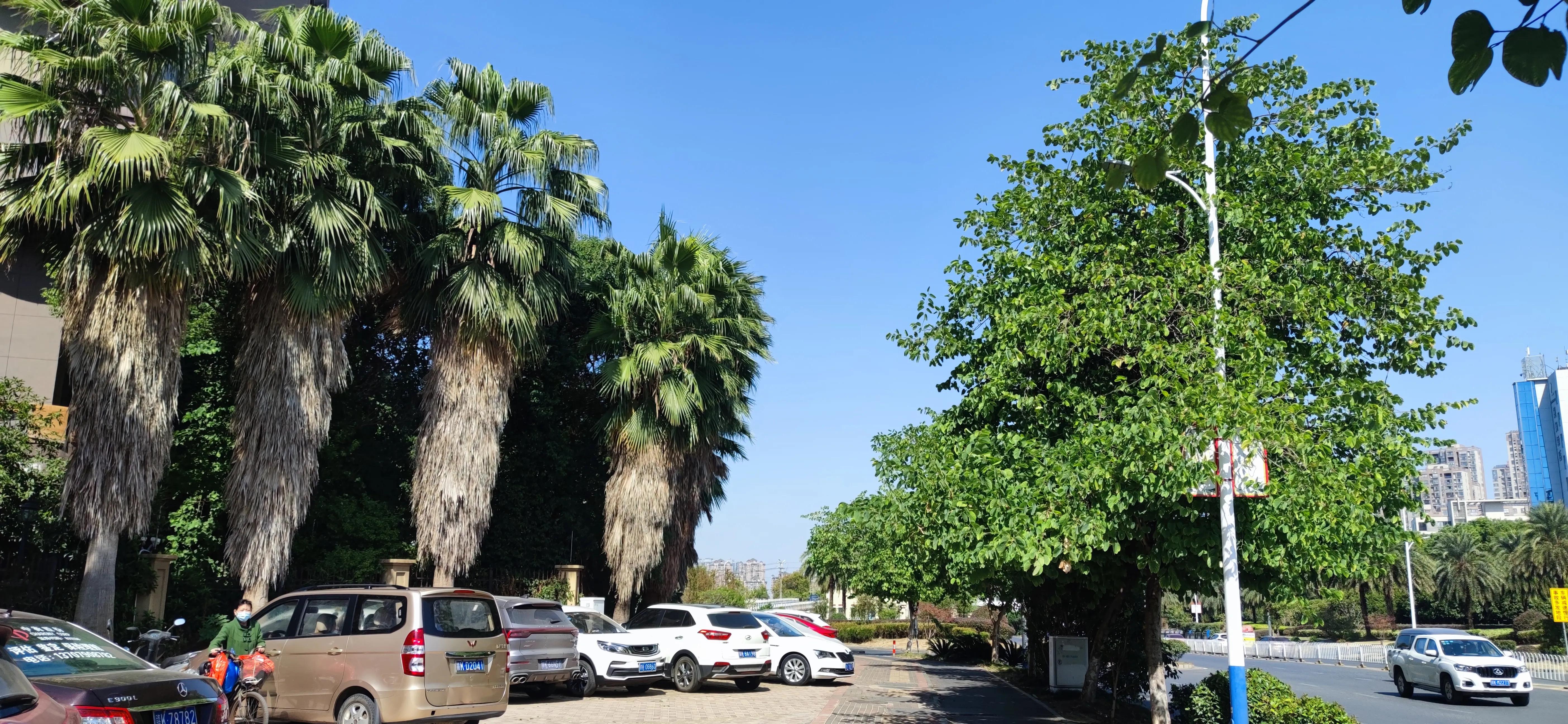 鎴戝彲鐖辩殑瀹朵埂鎶楀嚮鐤儏,鎶楀嚮鐤儏鎴戝彲鐖辩殑瀹朵埂