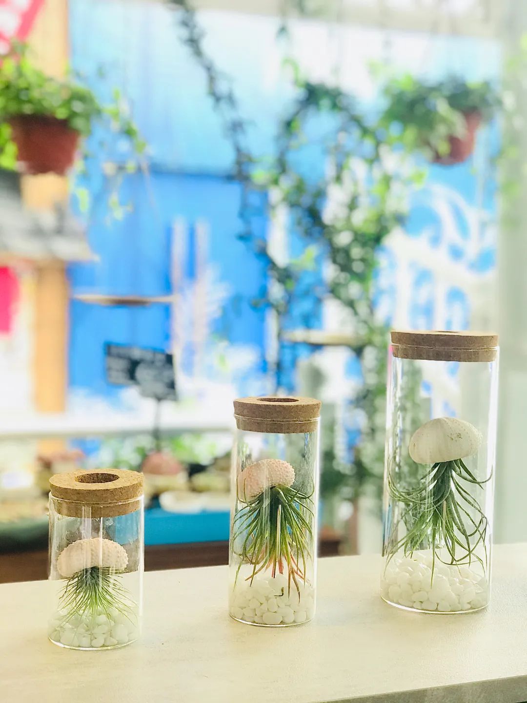 她只想回归自然，开花店却一年净利润50多万元——南宁小姐姐将理想照进了现实