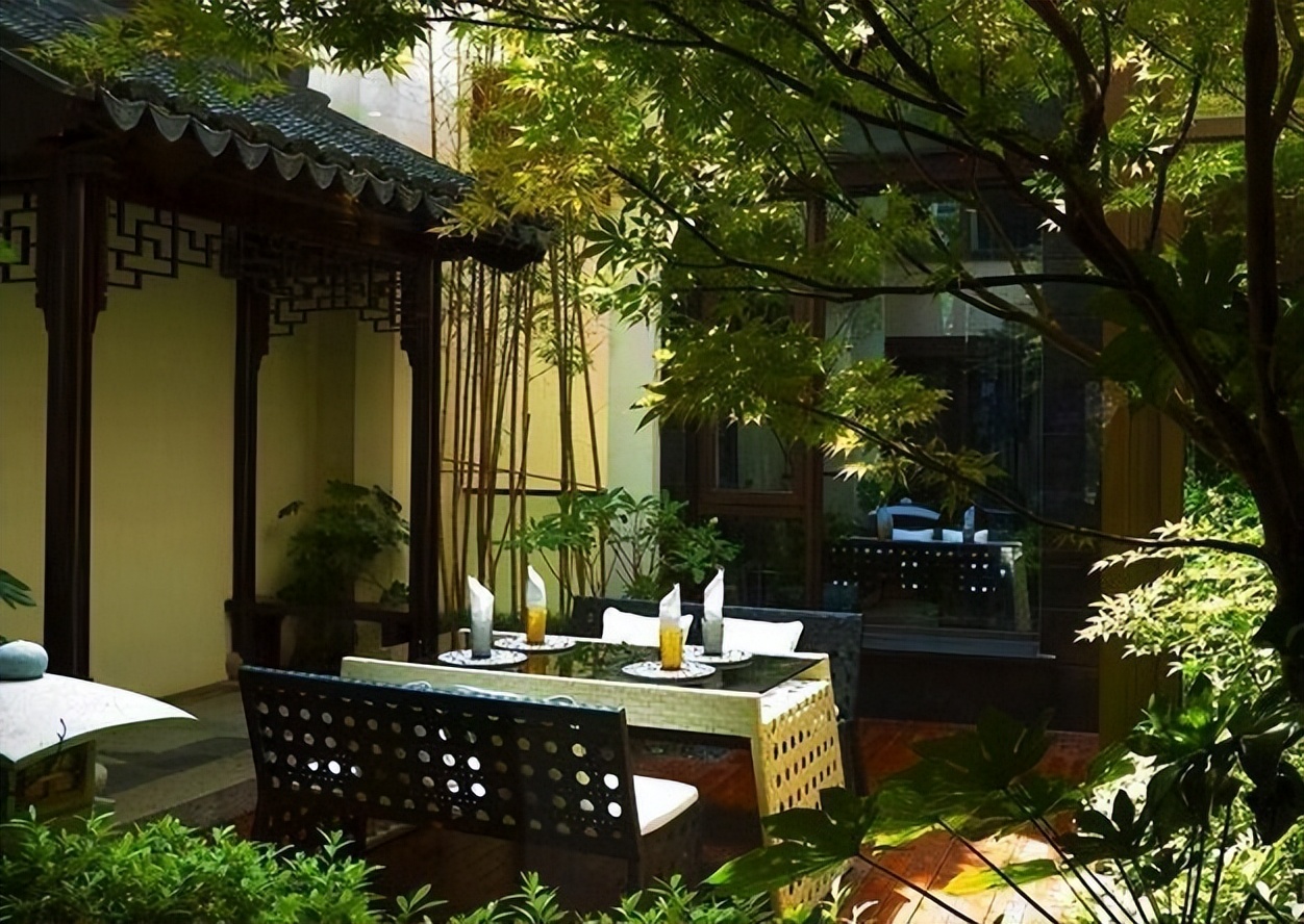 院里不栽三棵树,庭院里种一棵大树有什么说法