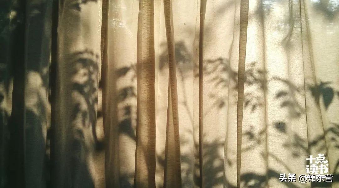 没钱的夫妻有幸福吗,没钱的婚姻一定会幸福