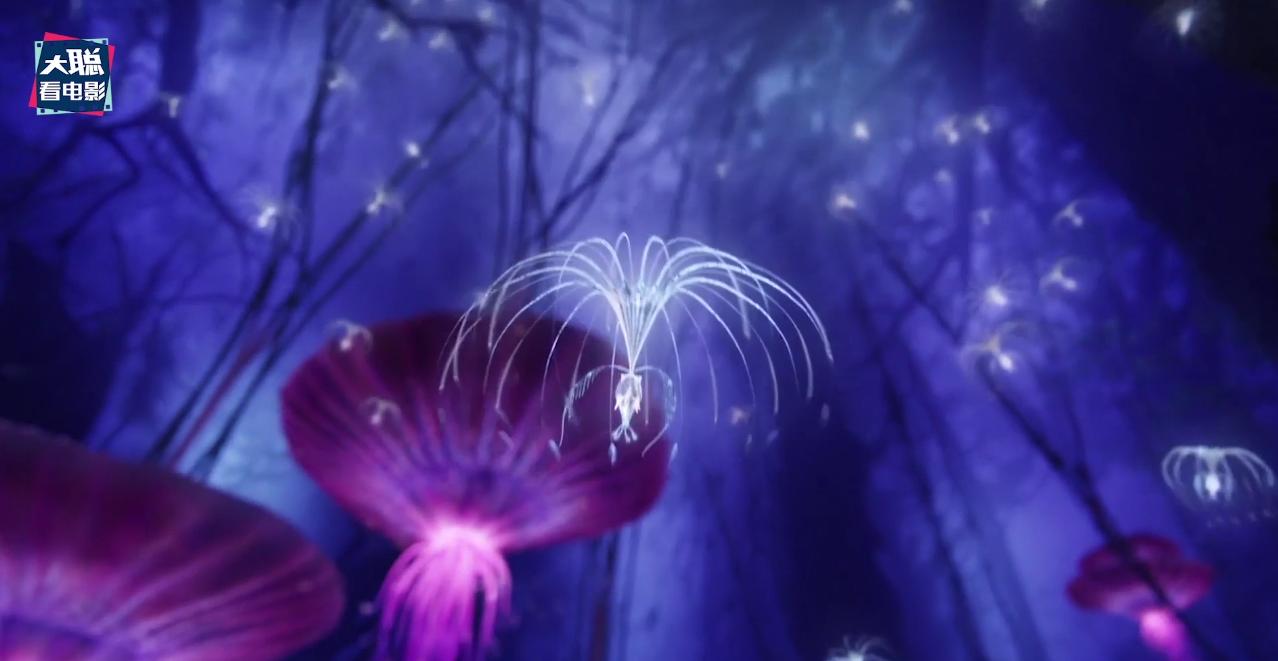 阿凡达细节讲解,阿凡达2全过程讲解