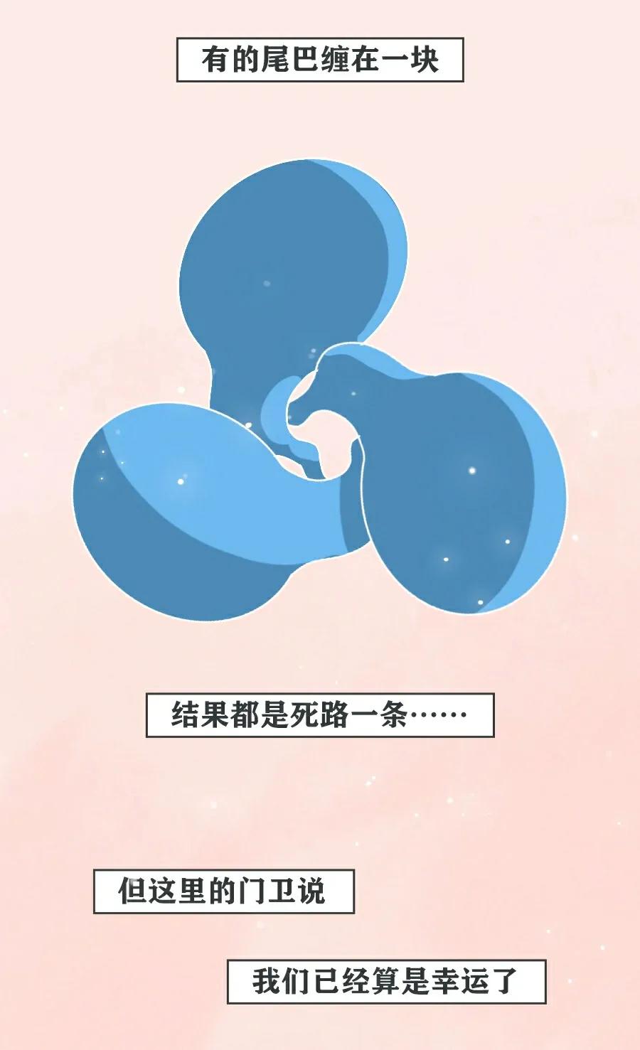 精子进入人体12小时变化,精子着床后身体变化