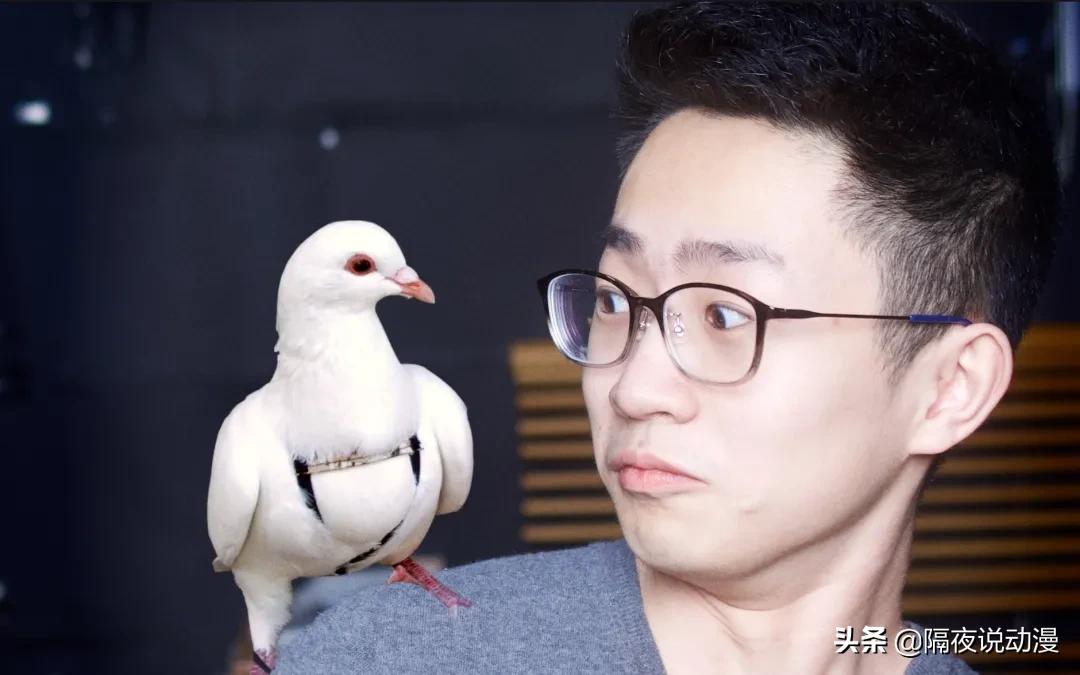 b站up主看周深,快乐大本营音痴和麦霸毛不易周深