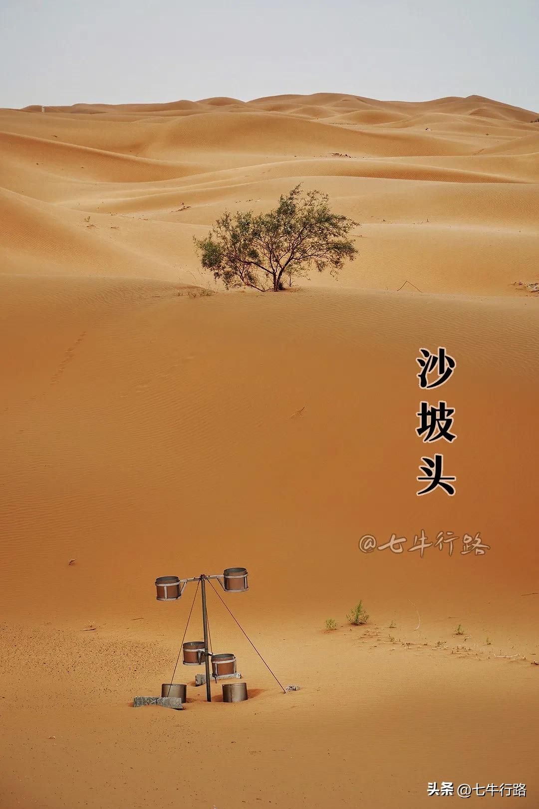 宁夏沙湖自由行攻略,宁夏沙坡头免费游