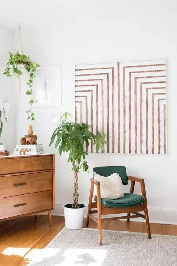 客厅实用盆栽植物有哪些,客厅一般放什么植物盆栽比较好