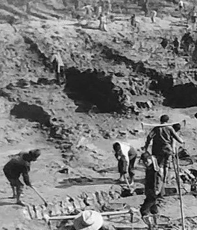 许昌一高毕业生的难忘往事：平舞工程会战当民工